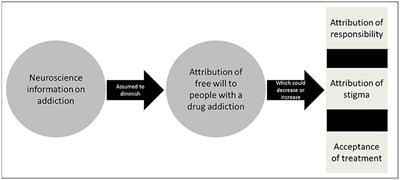 Free Will and the Brain Disease Model of Addiction: The Not So Seductive Allure of Neuroscience and Its Modest Impact on the Attribution of Free Will to People with an Addiction